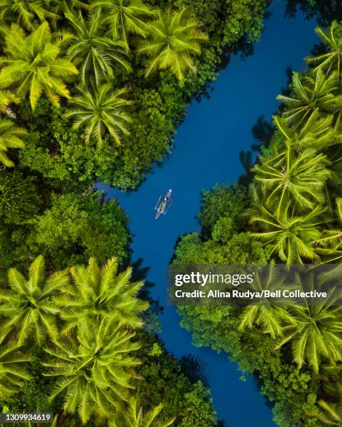 aerial view of a boat on a river surrounded by palm trees - tropical forest fotografías e imágenes de stock