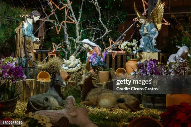 funchal christmas crib - madeira christmas stock pictures, royalty-free photos & images