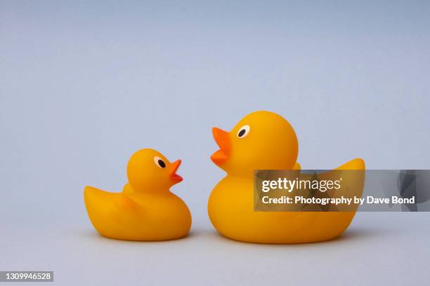 mother and baby rubber ducks - badeend stockfoto's en -beelden