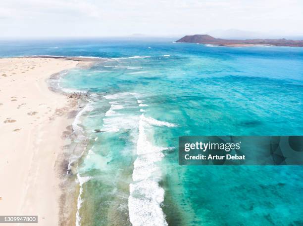 drone view of paradise beach with turquoise water in fuerteventura volcanic island. spain. playas paradisiacas a vista de dron en la isla de fuerteventura. - en la playa ストックフォトと画像