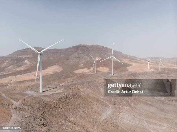 drone view of wind turbine group in the desert landscape of fuerteventura island with sunny day. energia eolica a vista de dron en la isla de fuerteventura. spain. - energia eolica 個照片及圖片檔