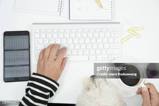 close up of woman hands typing computer keyboard work from home - dog pad stock pictures, royalty-free photos & images