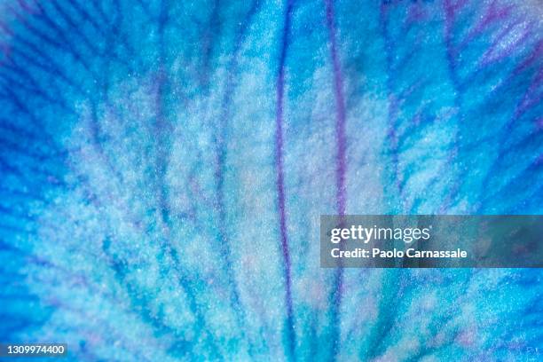 blue orchid leaf natural pattern - petal texture stock pictures, royalty-free photos & images