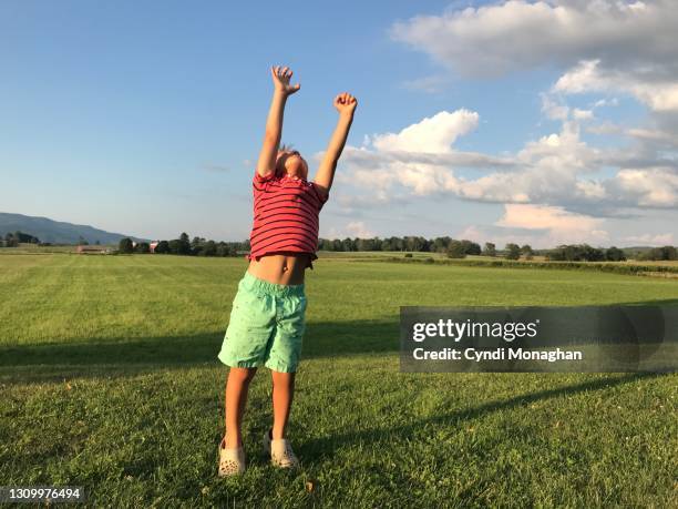 little boy leaping in a green grass meadow - little kids belly imagens e fotografias de stock