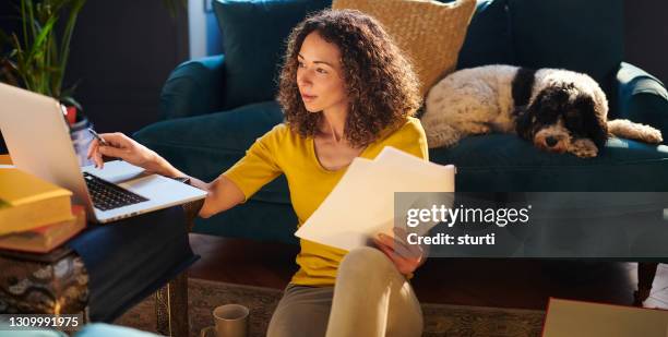studying at home - account dog stock pictures, royalty-free photos & images