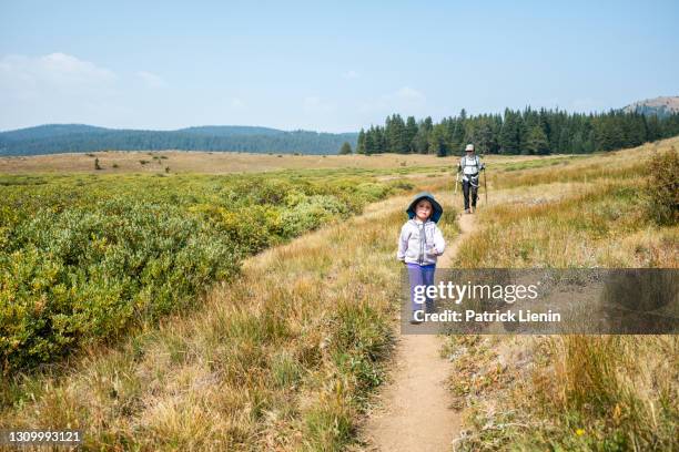 family hiking in the buffalo peaks wilderness, colorado - glen haven co stock pictures, royalty-free photos & images