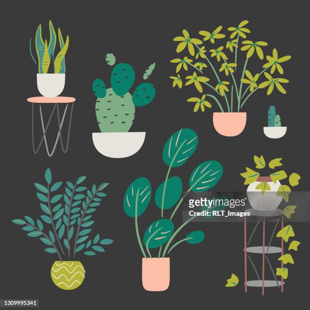 ilustrações, clipart, desenhos animados e ícones de coleção de plantas de casa variadas — elementos vetoriais desenhados à mão - vaso de flor