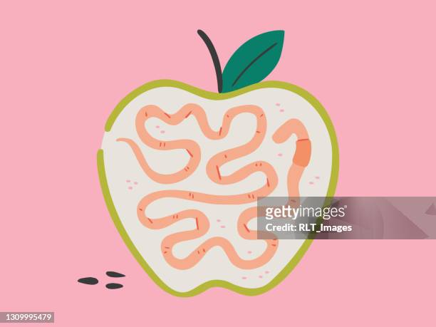 illustration of apple with worm inside - pink colour scheme stock illustrations