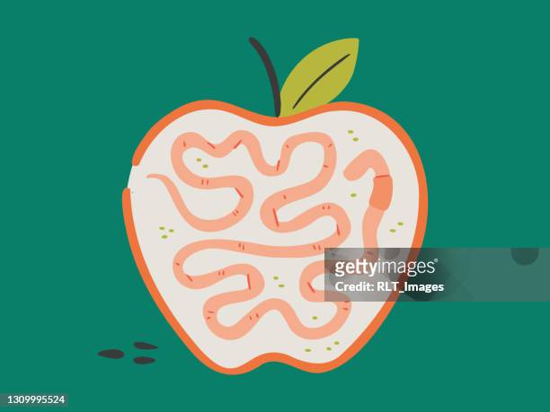 stockillustraties, clipart, cartoons en iconen met illustratie van appel met worm binnen - insect eating