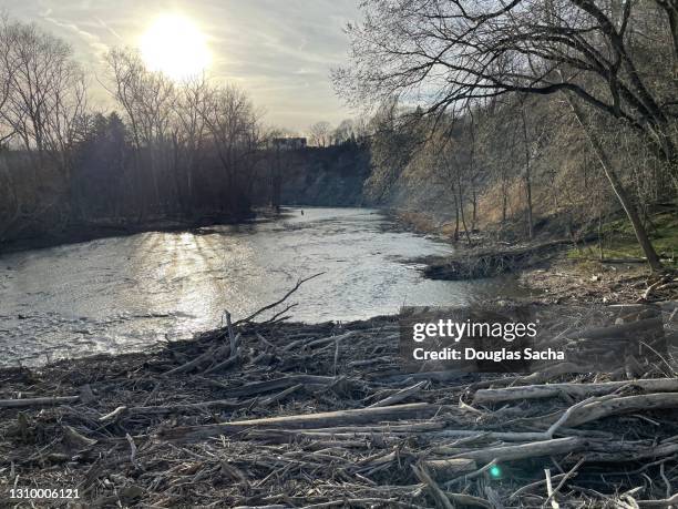 driftwood clogging the flowing river - driftwood foto e immagini stock