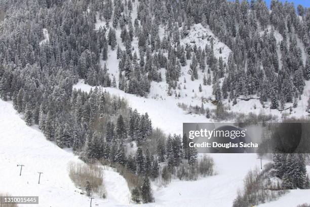 aspen mountain in colorado - berg mount aspen stock-fotos und bilder