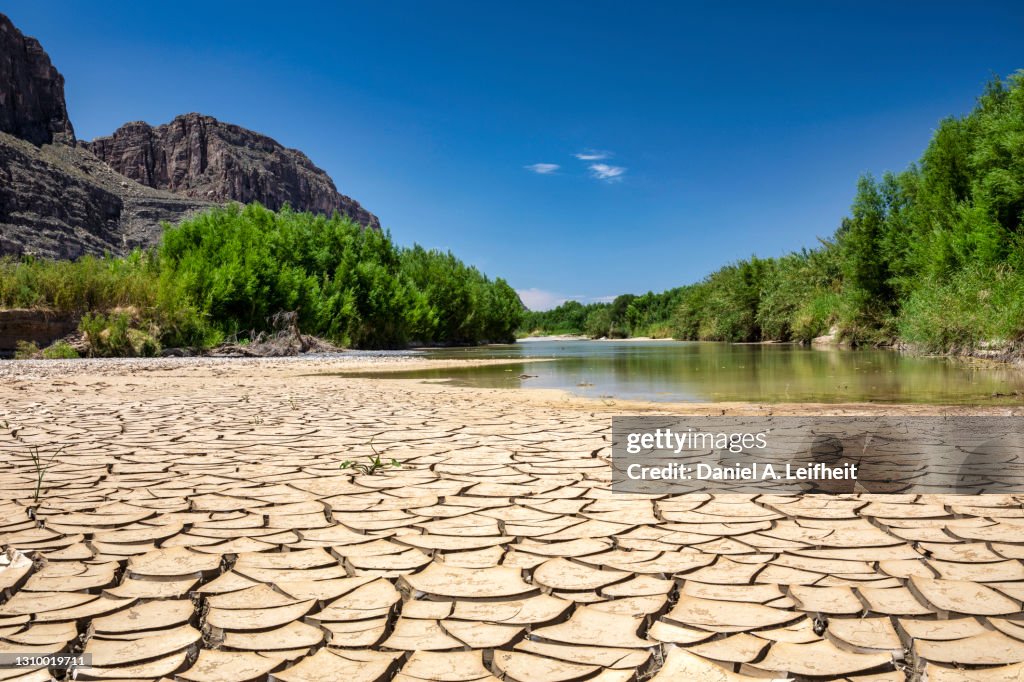 Mud Cracks Along the Rio Grande River