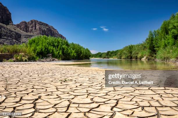 mud cracks along the rio grande river - dry stock pictures, royalty-free photos & images