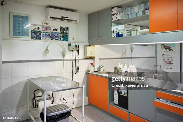 animal hospital examination room - doctors office no people stock pictures, royalty-free photos & images