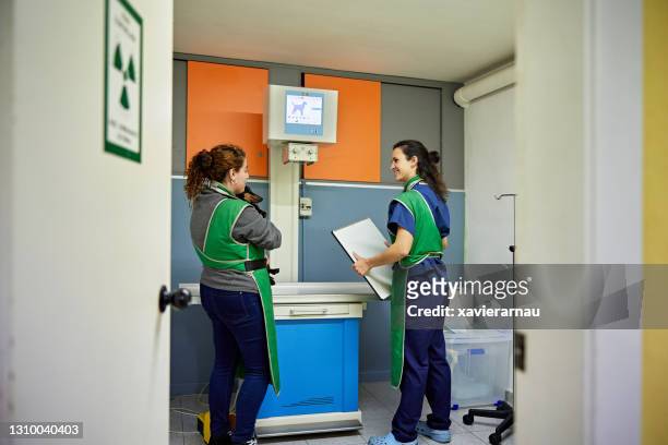 female veterinary technicians preparing to x-ray dachshund - lead stock pictures, royalty-free photos & images