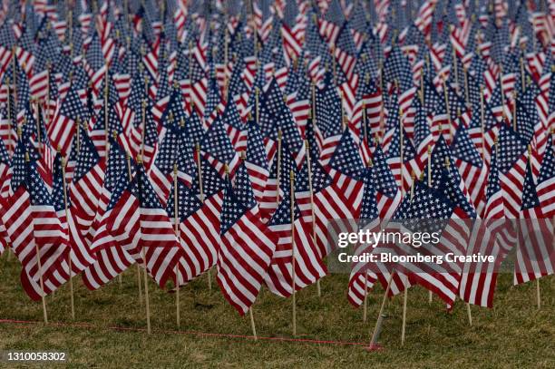 a group of american flags - congress background stock pictures, royalty-free photos & images