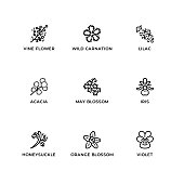 Vector set of design elements, logo design template, icons and badges for herbs and plants.
