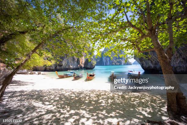 long tail boat on  koh lao la ding beach in krabi during a sunny day , thailand , asia - longtail boat stock pictures, royalty-free photos & images