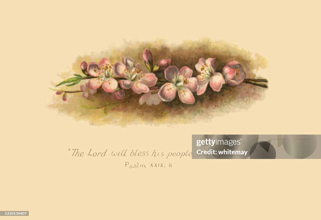 リンゴの花と詩篇 - ビクトリア朝のイラスト