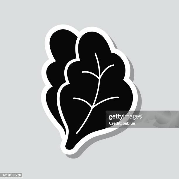 79点の葉レタスイラスト素材 Getty Images 79点の葉レタスイラスト素材 Getty Images