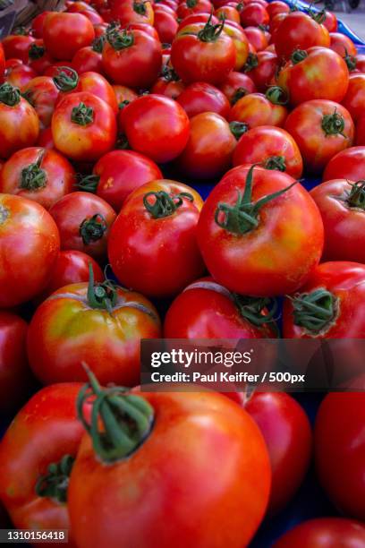 high angle view of tomatoes for sale at market stall,place de la halle,beaune,france - keiffer 個照片及圖片檔