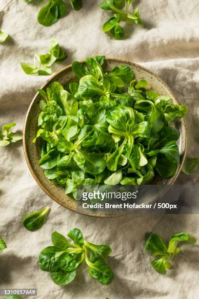 directly above shot of herbs in bowl on table - mache stock pictures, royalty-free photos & images