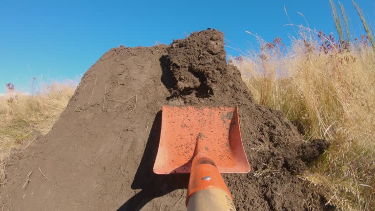 Soil Ramp Making 131 New Zealand Bike Trail Stock Videos, Footage, & 4K Video Clips ...