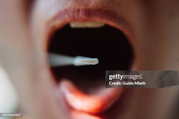 rapid test for infectious disease in open mouth. - mundraum stock-fotos und bilder