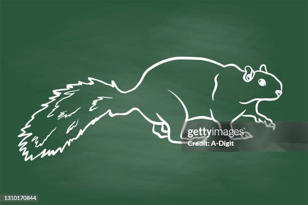 sneaky squirrel chalkboard - squirrel eating stock illustrations