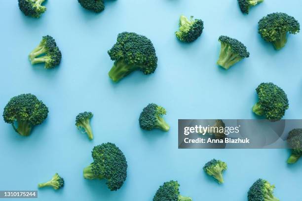 pattern of fresh broccoli over blue background. vegan healthy food. - brocolli stock-fotos und bilder