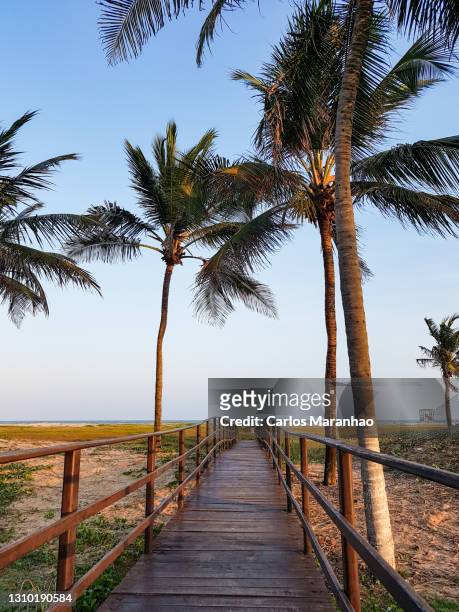 passarela para praia - aracaju stock pictures, royalty-free photos & images
