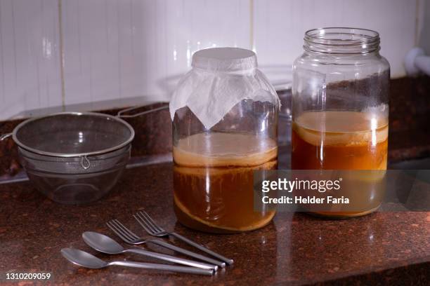 homemade fermented kombucha tea - full process - kombucha ストックフォトと画像