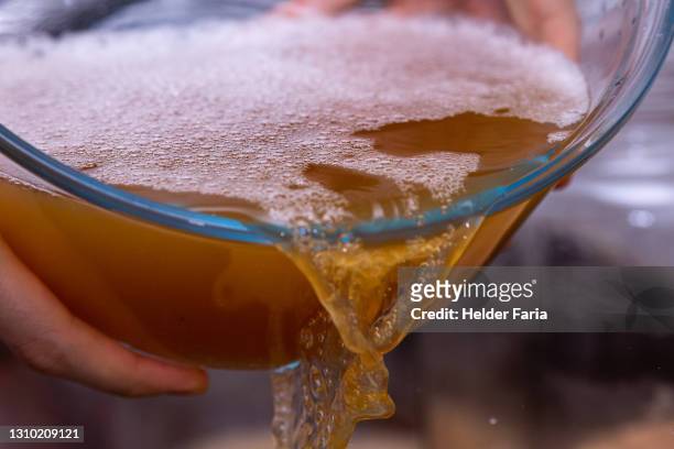 homemade fermented kombucha tea - full process - kombucha stock pictures, royalty-free photos & images