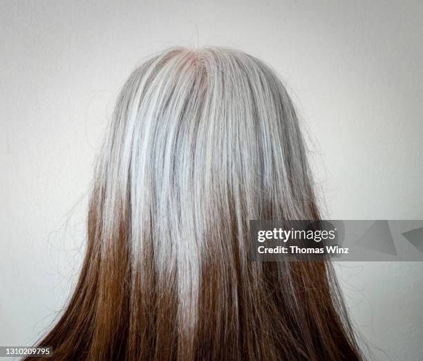 rear view of a woman's hair - grey hair back stock pictures, royalty-free photos & images