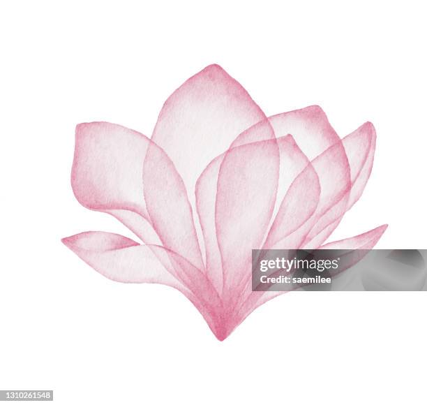 15 969点の花びらイラスト素材 Getty Images 15 969点の花びらイラスト素材 Getty Images