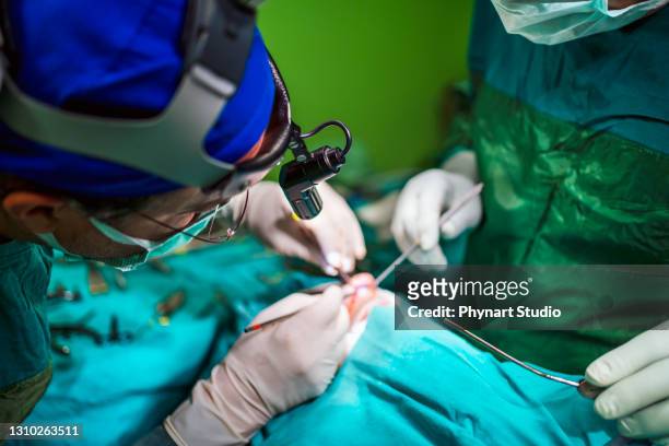 giovane chirurgo plastico maschio opera nella sala operatoria di un centro medico - rinoplastica foto e immagini stock