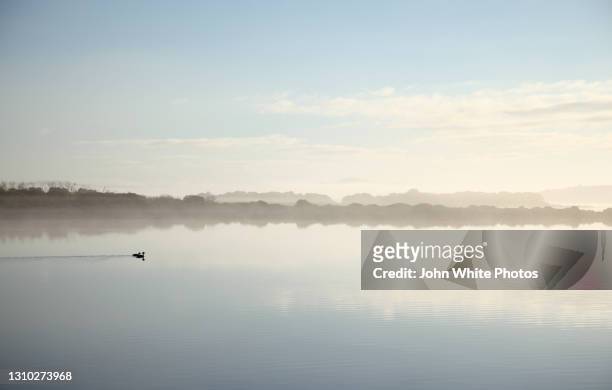 sleaford mere at dawn. eyre peninsula south australia - south australia copy space stock pictures, royalty-free photos & images