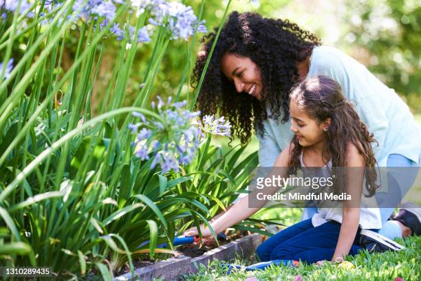 mother and daughter planting together in garden - black hair stock pictures, royalty-free photos & images