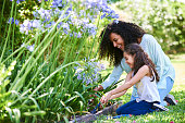 Mother and daughter planting flowers in garden
