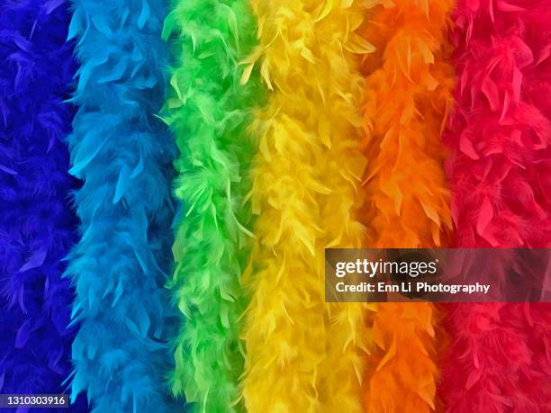 rainbow colors displayed by feather boas - purple feather boa stock pictures, royalty-free photos & images