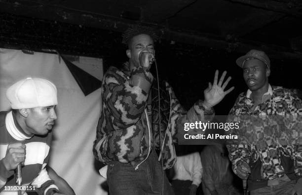 Charlie Brown, Dinco D, Busta Rhymes and The Leaders of The New School perform at the 1st Annual Hip-Hop Hall Of Fame Awards on March 7, 1991 in New...