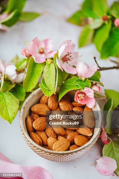 almonds and almond flowers - almond branch stock pictures, royalty-free photos & images