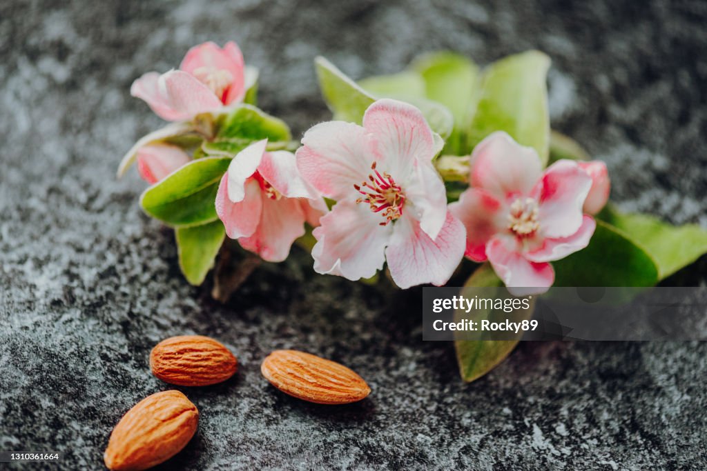 Almonds and Almond Flowers