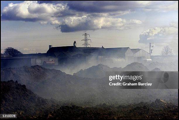 Farm buildings are barely visible March 20, 2001 in the English village of Longtown through the smoke from burning carcasses of cattle destroyed amid...