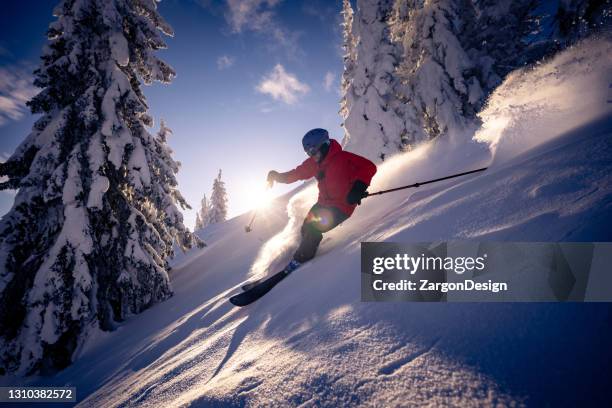 powder skiing - downhill skiing stock pictures, royalty-free photos & images