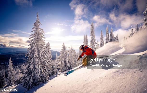 powder skiing - alpine skiing downhill stock pictures, royalty-free photos & images