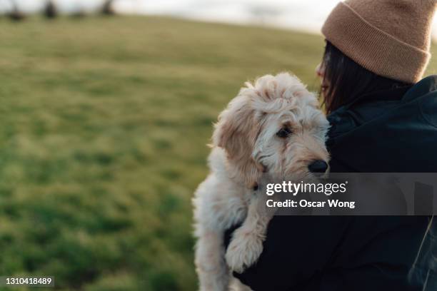 young woman holding her dog at the park - prairie dog photos et images de collection