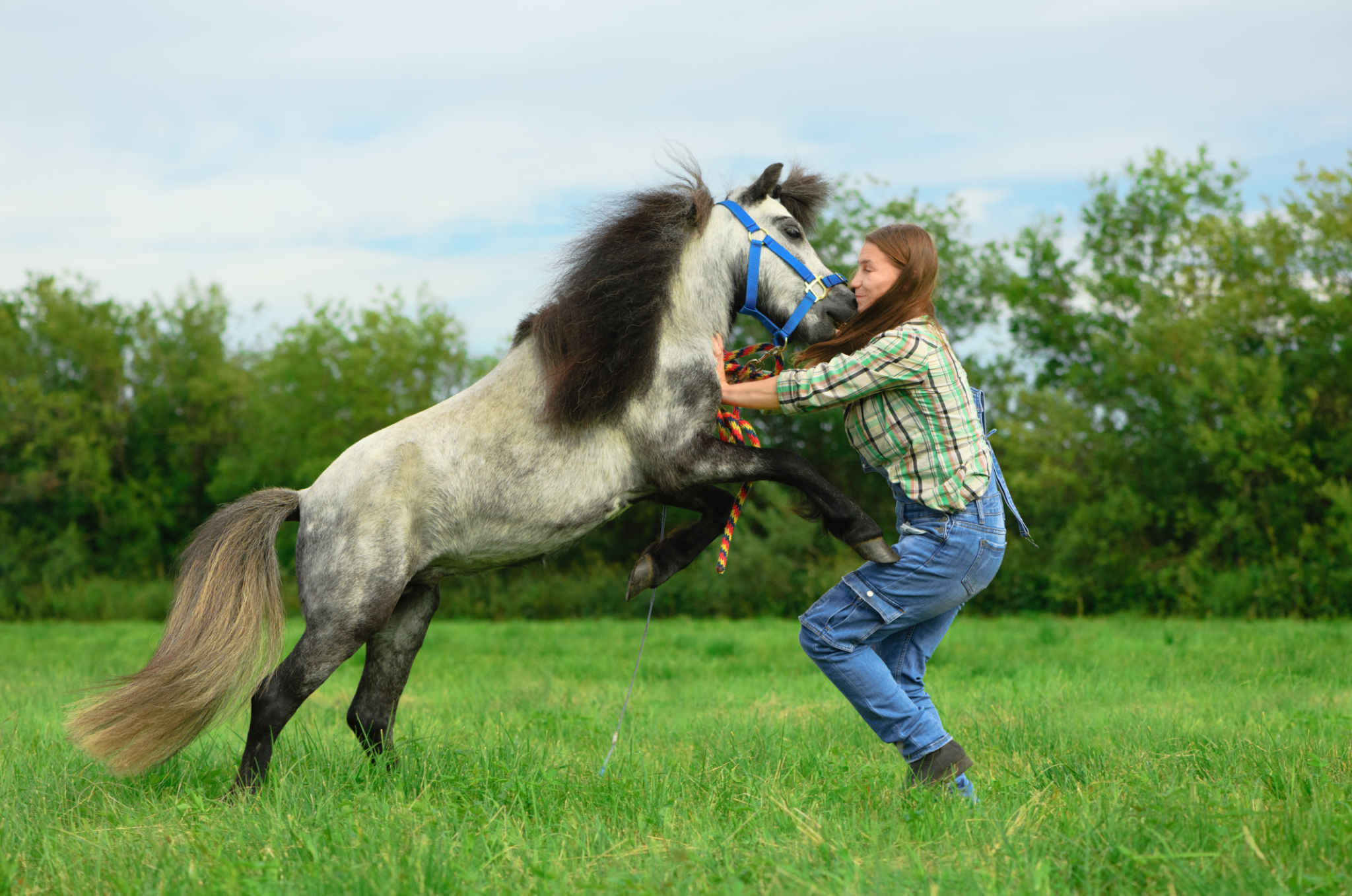 pasture management