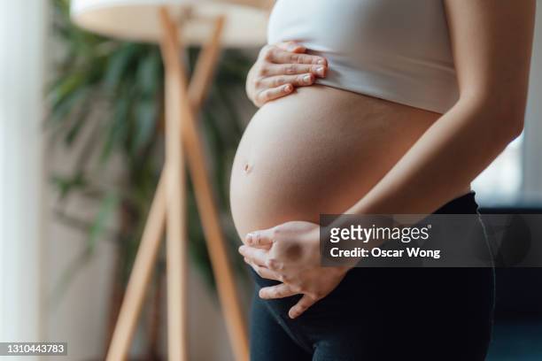 midsection of pregnant woman holding her belly - stomach stock pictures, royalty-free photos & images