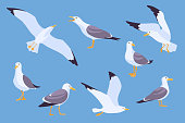 Set of cartoon beach seagulls flying in sky vector illustration